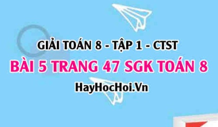 Giải bài 5 trang 47 Toán 8 Tập 1 SGK Chân trời sáng tạo